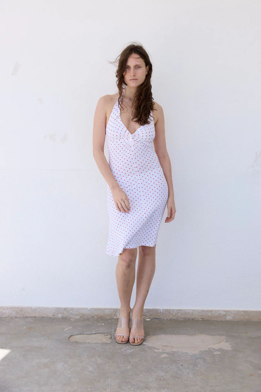 Celine Polka Dress